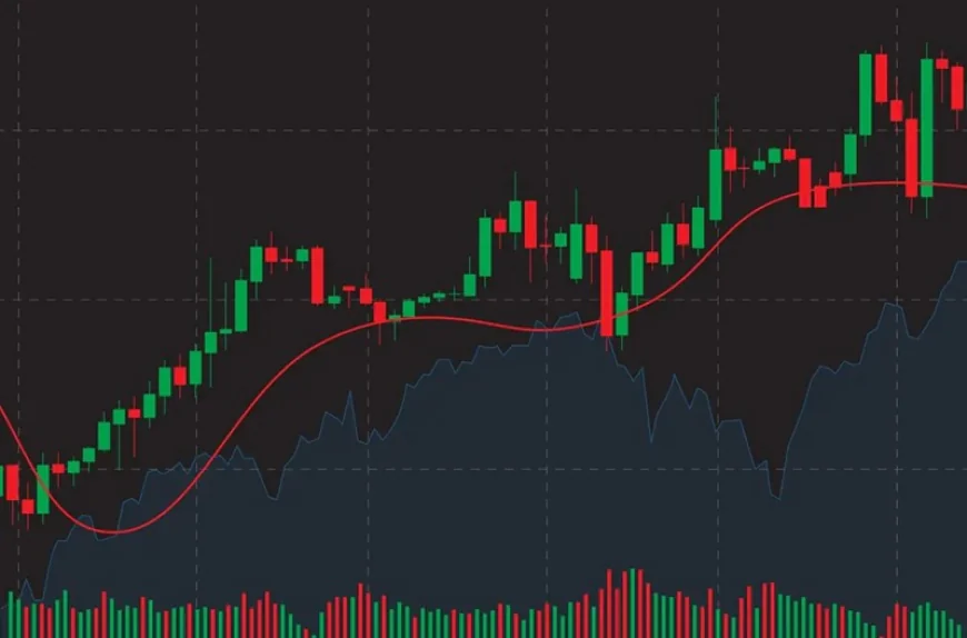 Schloss Bangalore Share Price: Latest Stock Updates, Financial Analysis and Investment Guide