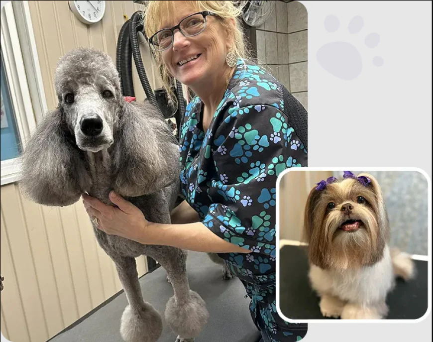 Where Can You Find Quality Pet Grooming at a Fair Price in Columbus?