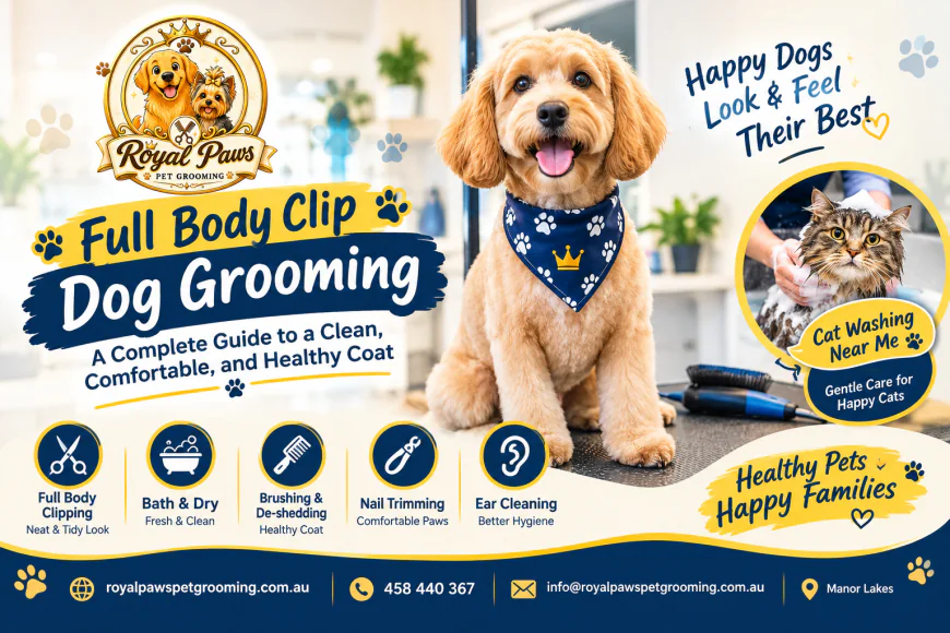 Full Body Clip Dog Grooming: A Complete Guide to a Clean, Comfortable, and Healthy Coat