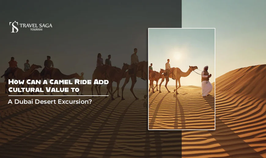 How Can A Camel Ride Add Cultural Value To A Dubai Desert Excursion?