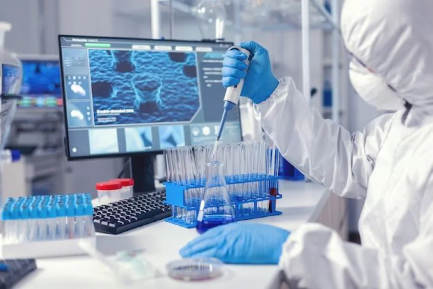 Global Medical Aesthetics Market Size, Trends, and Growth Outlook 2026-2033