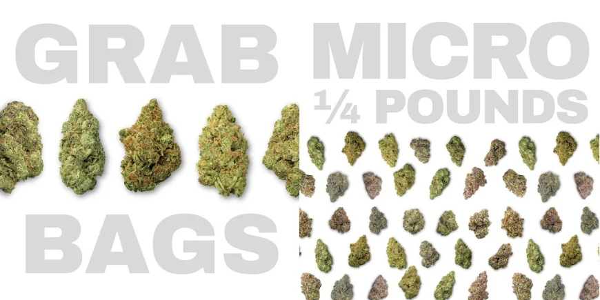 High THCa Flower Labels and the Numbers That Matter Most
