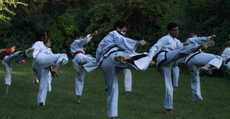 Boxing or Karate? Understanding Training Methods, Skills, and Progress