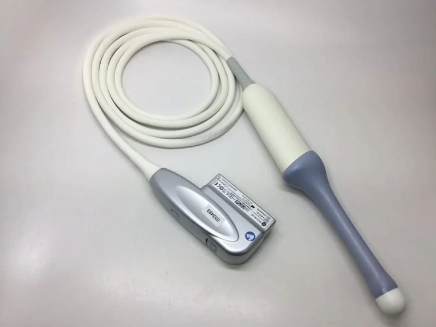 Gamma Probe Device Market Size, Trends, and Growth Forecast 2026-2033