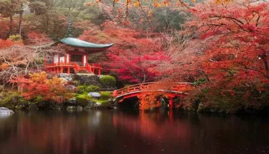 Planning a Memorable Trip to Japan: Top Destinations and Travel Tips