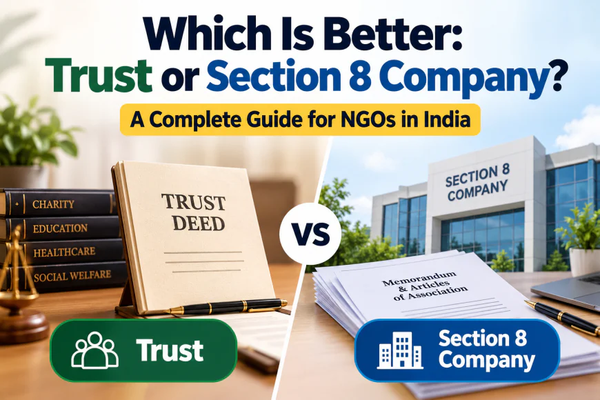 Which Is Better: Trust or Section 8 Company? A Complete Guide for NGOs in India