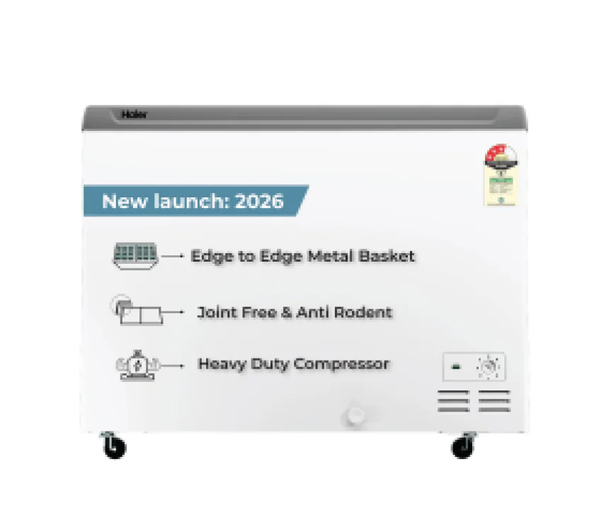How Does a Display Freezer Help Improve Product Visibility?