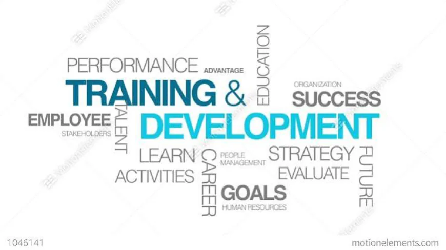 How to Improve Training With Learning and Development