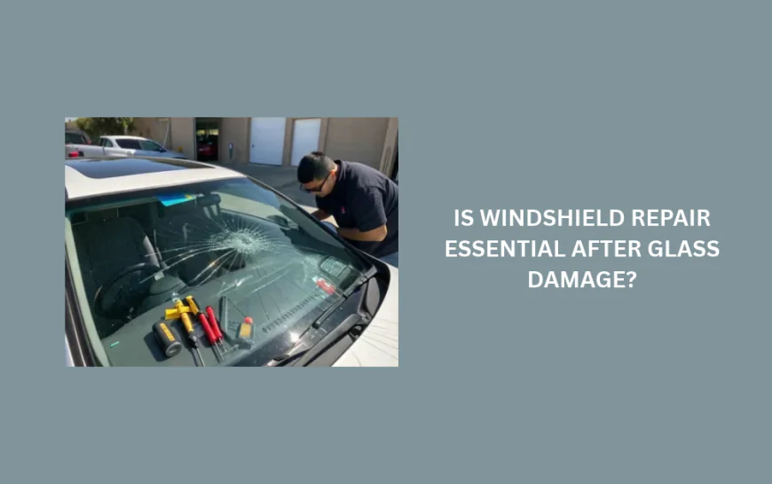 Is Windshield Repair Essential After Glass Damage?