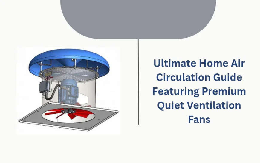 Ultimate Home Air Circulation Guide Featuring Premium Quiet Ventilation Fans
