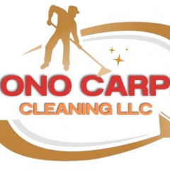 carpetcleaning