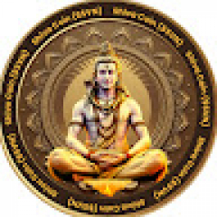 shivasvn coin