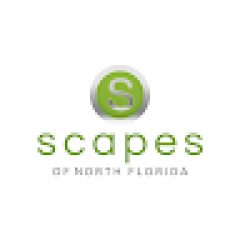 Scapes of North Florida