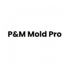 pmmoldpro