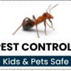 antpestcontrolperth