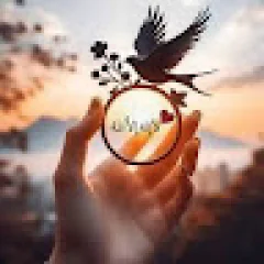 construction estimator