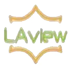 laviewsmart