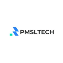 Website Issue fixing by Pmsltech.net