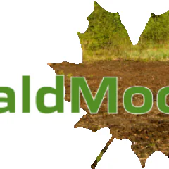 waldmoos