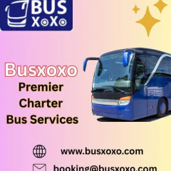 busxoxo