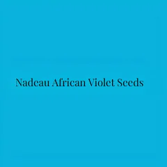 nadeauafricanvioletseeds