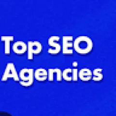 Seo Agency