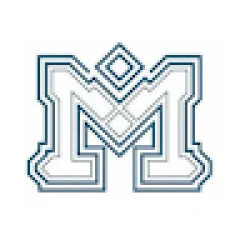 Manaviya Tech Solutions