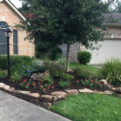 resultstreeandlandscape