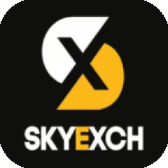 skyexchangeart