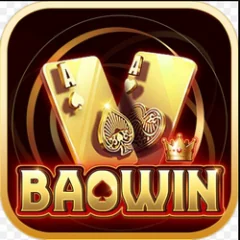 baowin1org