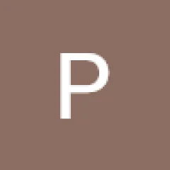 Playkaro Org