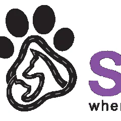 pawstreet uae