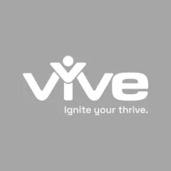 vyvevision