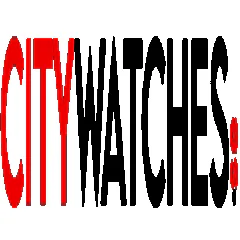 citywatchessweden