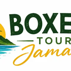 Boxers Tours Jamaica