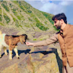 Rizwan Khan