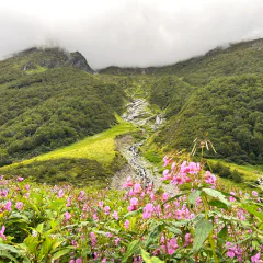 Trek in Himalayas