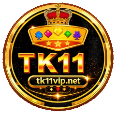 tk11vipnet