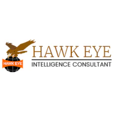 detectiveagencydelhi