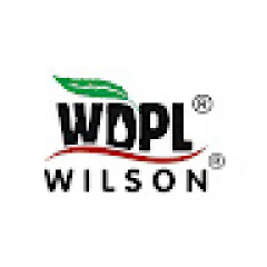 wilsondrugs seo