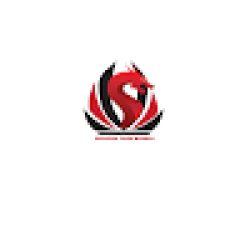 Dragon Taekwondo Academy