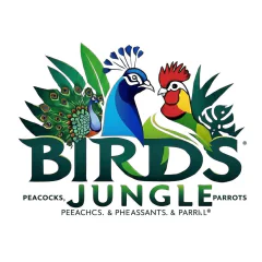 birdsjungle