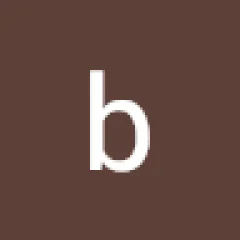 berlin chauffeur