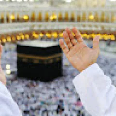 Qalam Travels