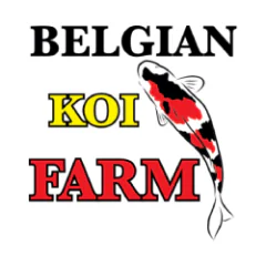 belgiankoifarm