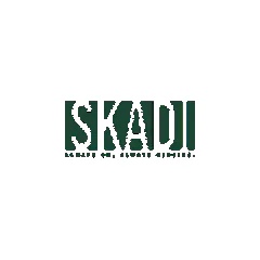 Skadiii