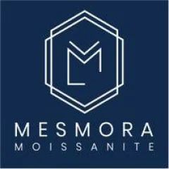 mesmora team
